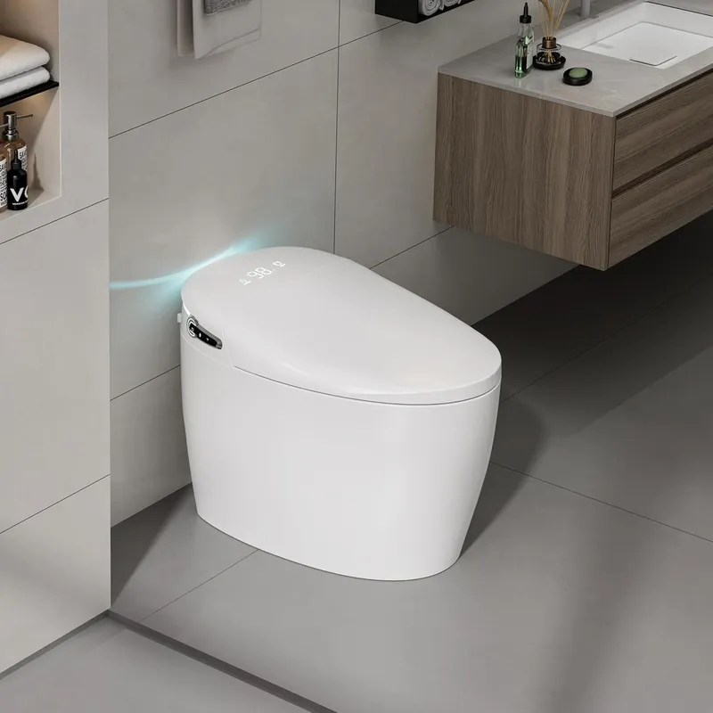 BYBARENOVA Smart Toilet with Bidet Built in